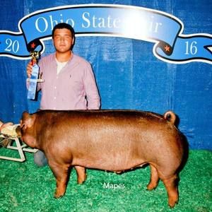 Meet your Posher, Zach